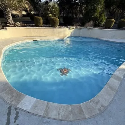 Resurfaced courtyard pool in San Antonio